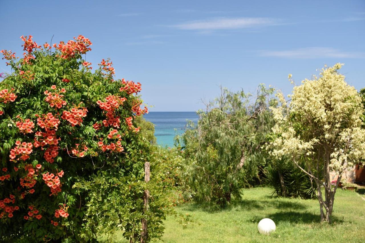 Villa Orri Tortolì المظهر الخارجي الصورة